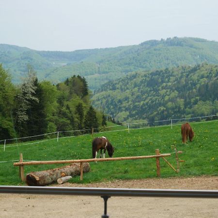 Apartament La Joux Chaupe Saint-Ursanne Zewnętrze zdjęcie