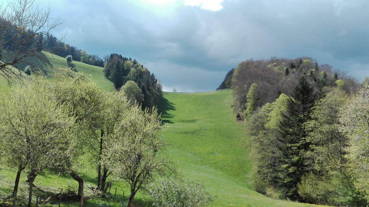 Apartament La Joux Chaupe Saint-Ursanne Zewnętrze zdjęcie