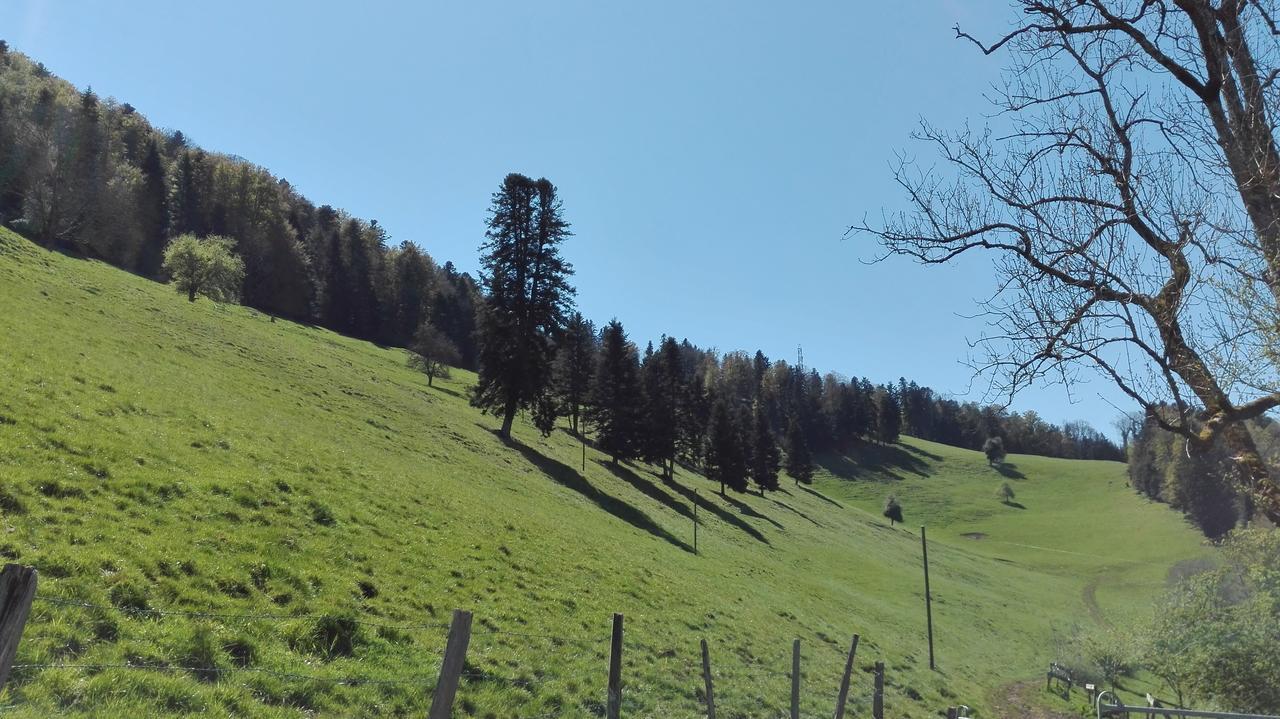 Apartament La Joux Chaupe Saint-Ursanne Zewnętrze zdjęcie