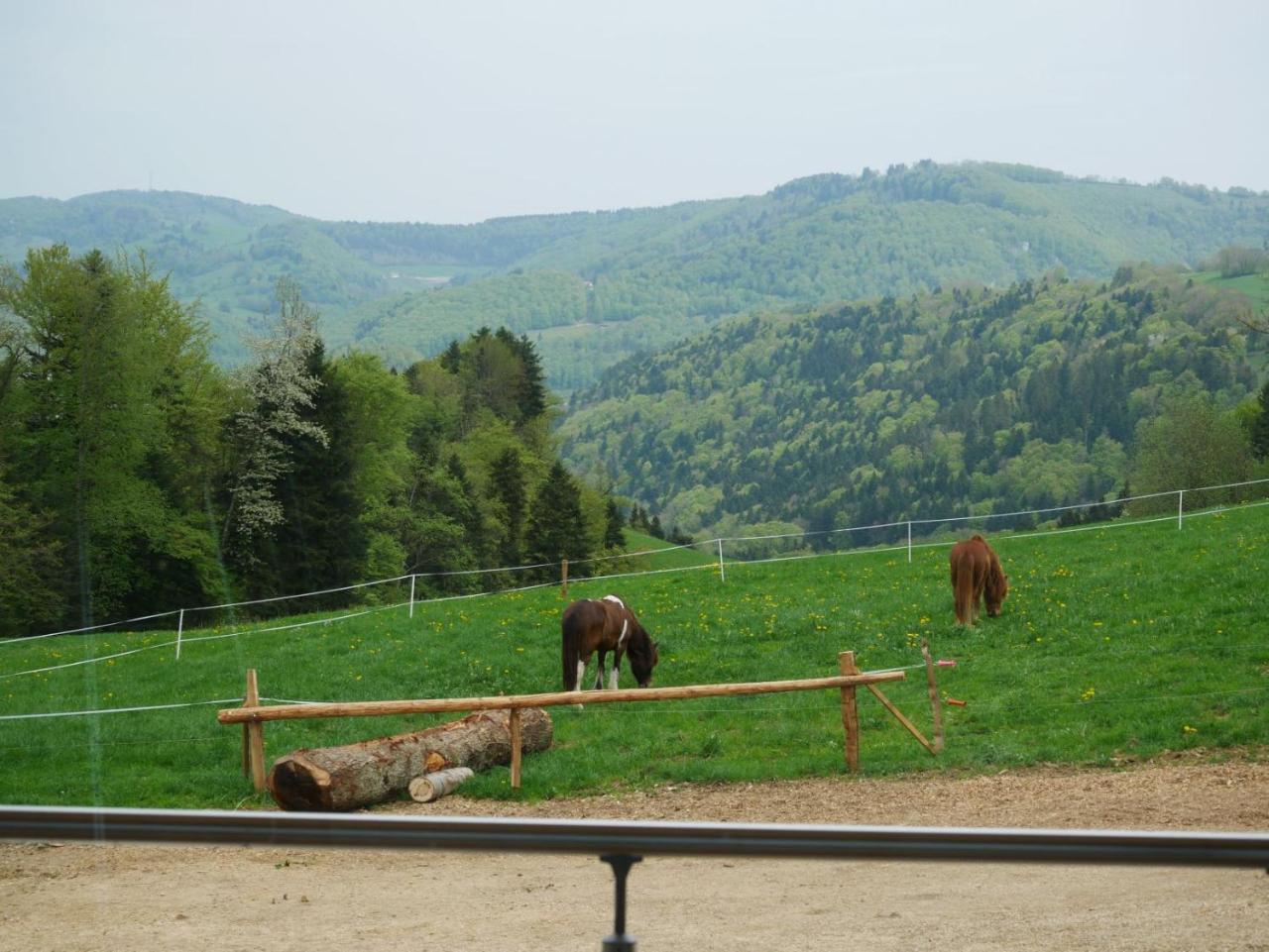 Apartament La Joux Chaupe Saint-Ursanne Zewnętrze zdjęcie
